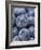 Blueberries-null-Framed Photographic Print