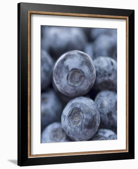 Blueberries-null-Framed Photographic Print