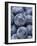 Blueberries-null-Framed Photographic Print