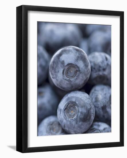 Blueberries-null-Framed Photographic Print