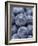 Blueberries-null-Framed Photographic Print