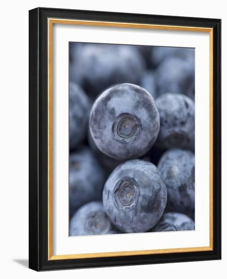 Blueberries-null-Framed Photographic Print