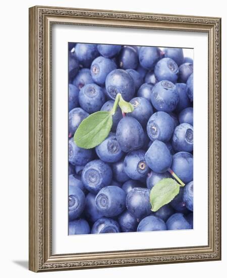 Blueberries-Vladimir Shulevsky-Framed Photographic Print