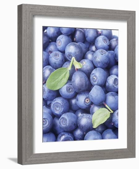 Blueberries-Vladimir Shulevsky-Framed Photographic Print