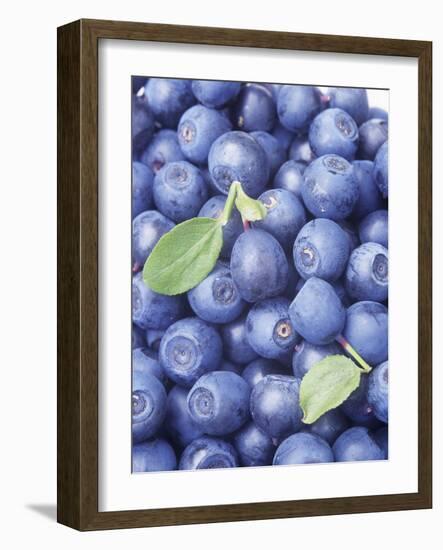 Blueberries-Vladimir Shulevsky-Framed Photographic Print