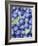 Blueberries-Vladimir Shulevsky-Framed Photographic Print