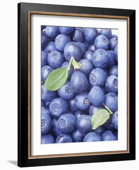 Blueberries-Vladimir Shulevsky-Framed Photographic Print