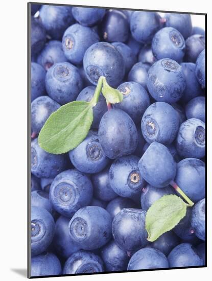 Blueberries-Vladimir Shulevsky-Mounted Photographic Print