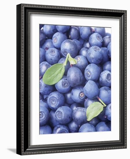 Blueberries-Vladimir Shulevsky-Framed Photographic Print