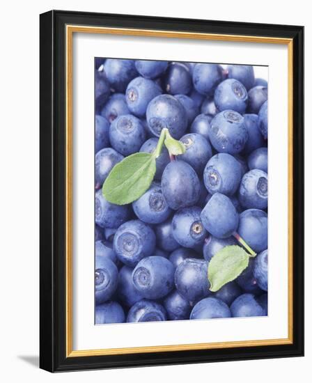 Blueberries-Vladimir Shulevsky-Framed Photographic Print