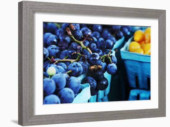 Blueberries-null-Framed Photo