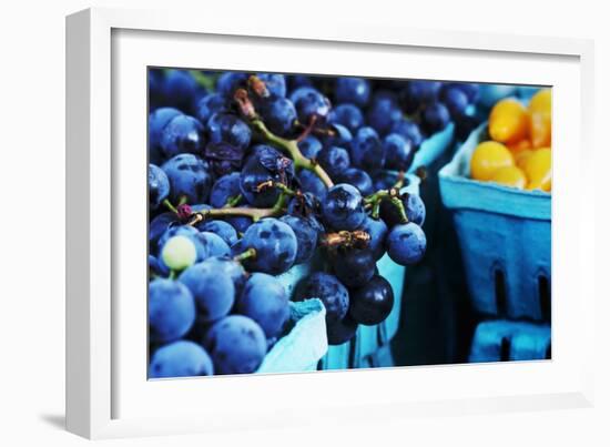 Blueberries-null-Framed Photo