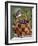 Blueberry Basket-William Vanderdasson-Framed Giclee Print