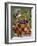 Blueberry Basket-William Vanderdasson-Framed Giclee Print