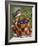 Blueberry Basket-William Vanderdasson-Framed Giclee Print