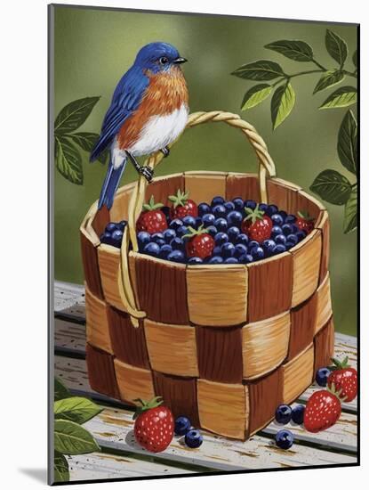 Blueberry Basket-William Vanderdasson-Mounted Giclee Print