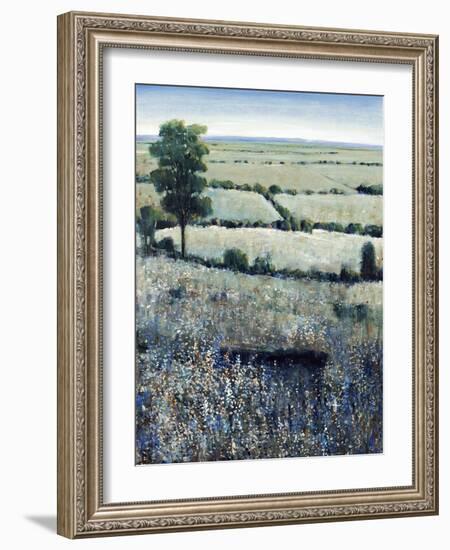 Blueberry Hills-O'Toole O'Toole-Framed Giclee Print