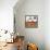 Blueberry Pie-Jennifer Garant-Framed Premier Image Canvas displayed on a wall
