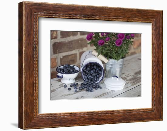 Blueberrys in Enamel Milk Can-Andrea Haase-Framed Photographic Print