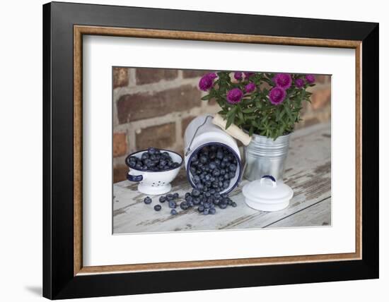 Blueberrys in Enamel Milk Can-Andrea Haase-Framed Photographic Print