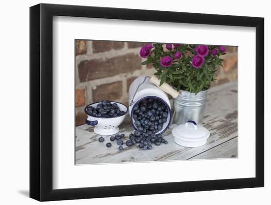 Blueberrys in Enamel Milk Can-Andrea Haase-Framed Photographic Print