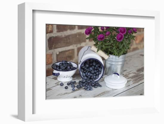 Blueberrys in Enamel Milk Can-Andrea Haase-Framed Photographic Print