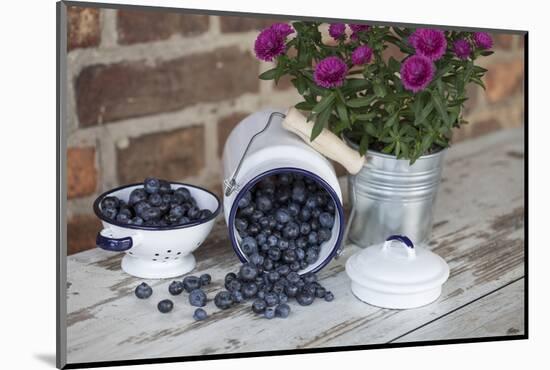 Blueberrys in Enamel Milk Can-Andrea Haase-Mounted Photographic Print