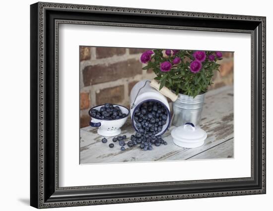 Blueberrys in Enamel Milk Can-Andrea Haase-Framed Photographic Print