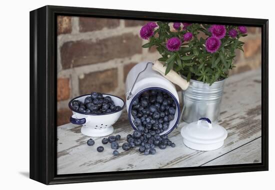 Blueberrys in Enamel Milk Can-Andrea Haase-Framed Premier Image Canvas