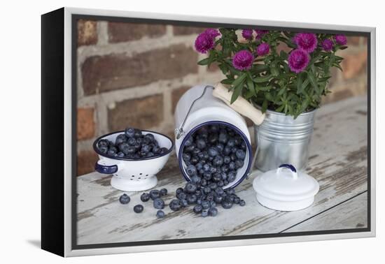 Blueberrys in Enamel Milk Can-Andrea Haase-Framed Premier Image Canvas