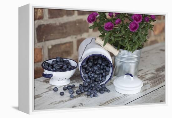 Blueberrys in Enamel Milk Can-Andrea Haase-Framed Premier Image Canvas