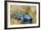 Bluebird at Brooklands-Peter Miller-Framed Giclee Print