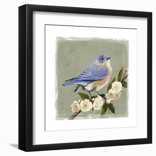 Bluebird Branch I-Victoria Borges-Framed Art Print