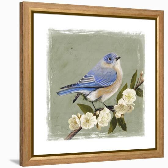 Bluebird Branch I-Victoria Borges-Framed Stretched Canvas