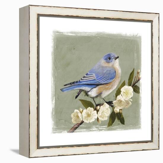 Bluebird Branch I-Victoria Borges-Framed Stretched Canvas