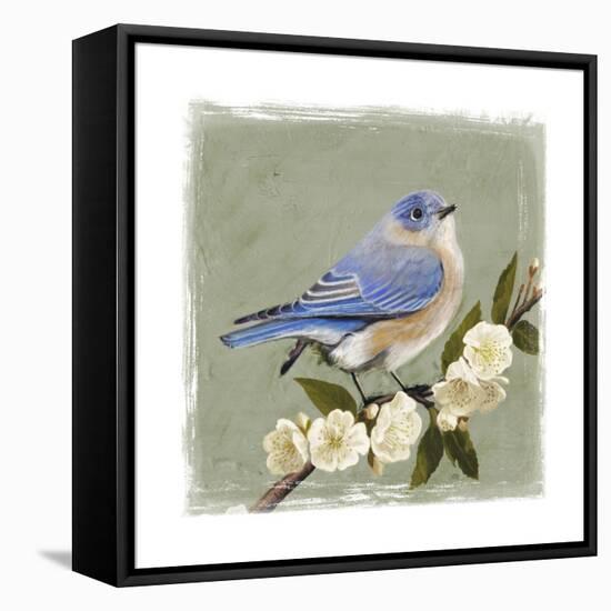 Bluebird Branch I-Victoria Borges-Framed Stretched Canvas