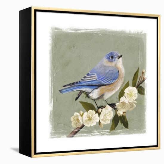 Bluebird Branch I-Victoria Borges-Framed Stretched Canvas