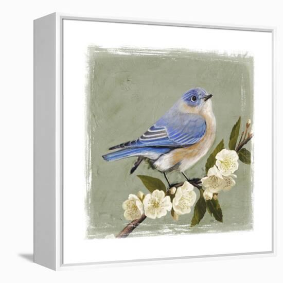 Bluebird Branch I-Victoria Borges-Framed Stretched Canvas