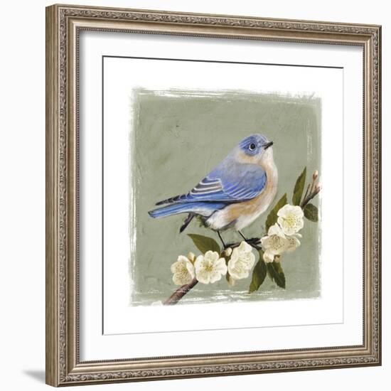 Bluebird Branch I-Victoria Borges-Framed Art Print