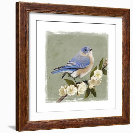 Bluebird Branch I-Victoria Borges-Framed Art Print