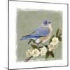 Bluebird Branch I-Victoria Borges-Mounted Art Print