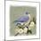 Bluebird Branch I-Victoria Borges-Mounted Art Print