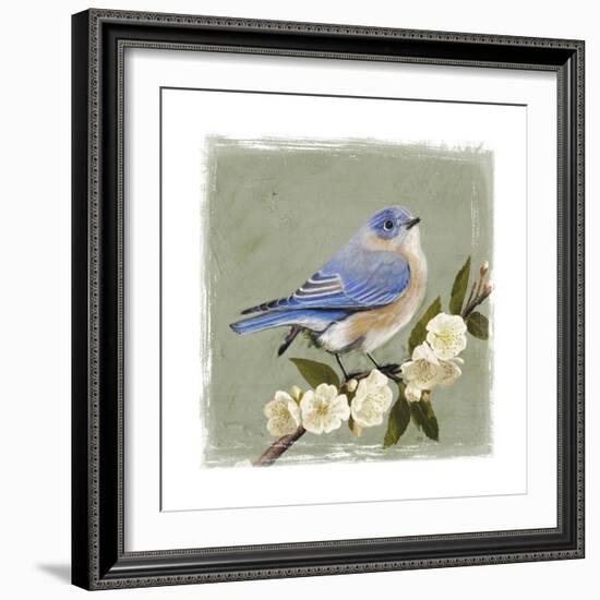 Bluebird Branch I-Victoria Borges-Framed Art Print