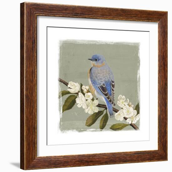 Bluebird Branch II-Victoria Borges-Framed Art Print