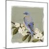 Bluebird Branch II-Victoria Borges-Mounted Art Print