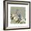 Bluebird Branch II-Victoria Borges-Framed Art Print