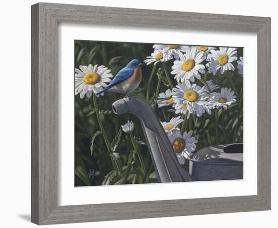 Bluebird Daisies-Jeffrey Hoff-Framed Photographic Print