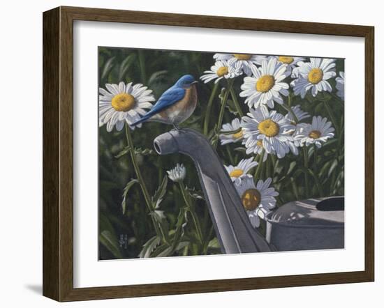 Bluebird Daisies-Jeffrey Hoff-Framed Photographic Print