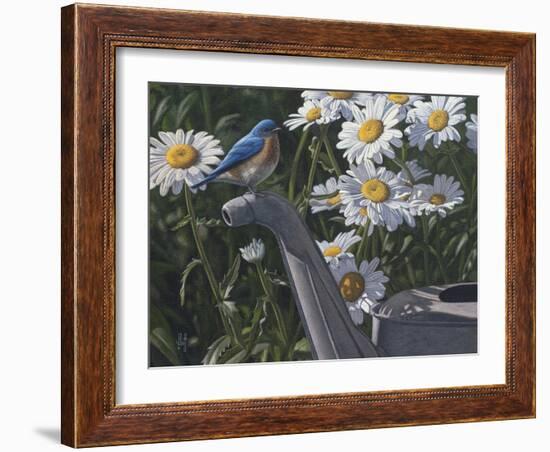 Bluebird Daisies-Jeffrey Hoff-Framed Photographic Print