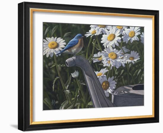 Bluebird Daisies-Jeffrey Hoff-Framed Photographic Print